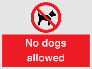 No dogs allowed